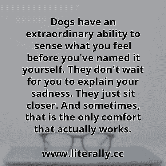Dogs have an extraordinary ability to sense what you feel before you've named it yourself. They don't wait for you to explain your sadness. They just sit closer. And sometimes, that is the only comfort that actually works.
