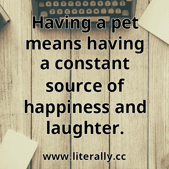 Having a pet means having a constant source of happiness and laughter.

