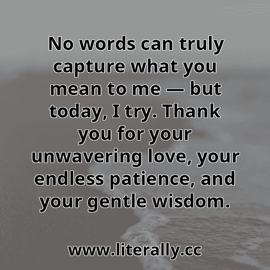 No words can truly capture what you mean to me — but today, I try. Thank you for your unwavering love, your endless patience, and your gentle wisdom.
