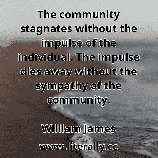 The community stagnates without the impulse of the individual. The impulse dies away without the sympathy of the community.
William James
