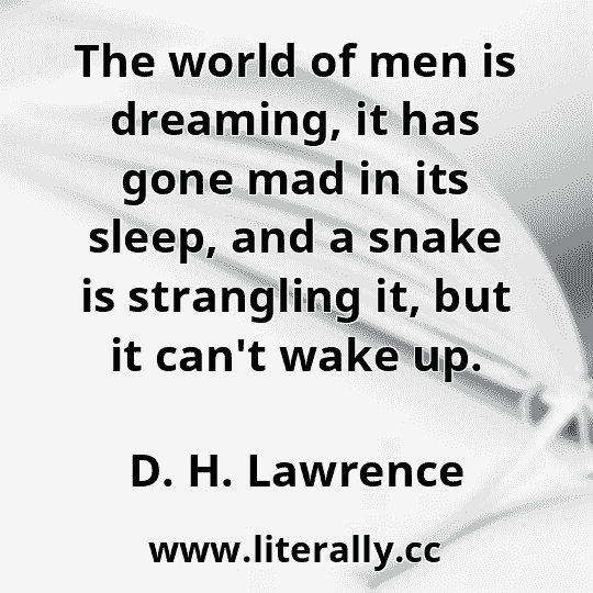 The world of men is dreaming, it has gone mad in its sleep, and a snake is strangling it, but it can't wake up.
D. H. Lawrence
