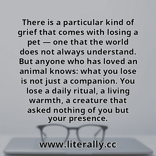 There is a particular kind of grief that comes with losing a pet — one that the world does not always understand. But anyone who has loved an animal knows: what you lose is not just a companion. You lose a daily ritual, a living warmth, a creature that asked nothing of you but your presence.
