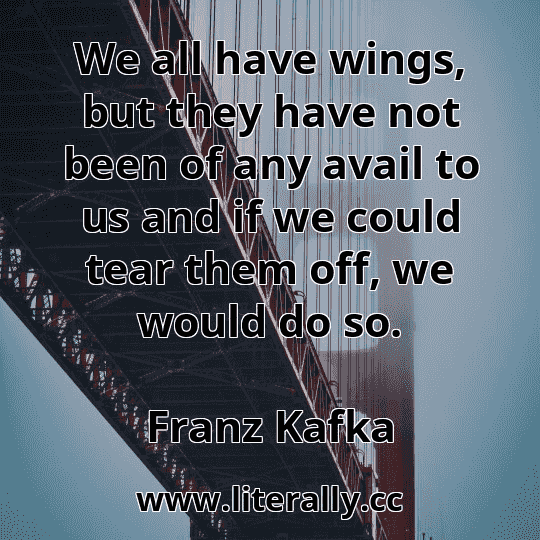 We all have wings, but they have not been of any avail to us and if we could tear them off, we would do so.
Franz Kafka
